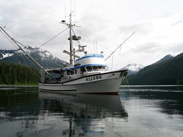 Buy Wild Alaskan King Salmon