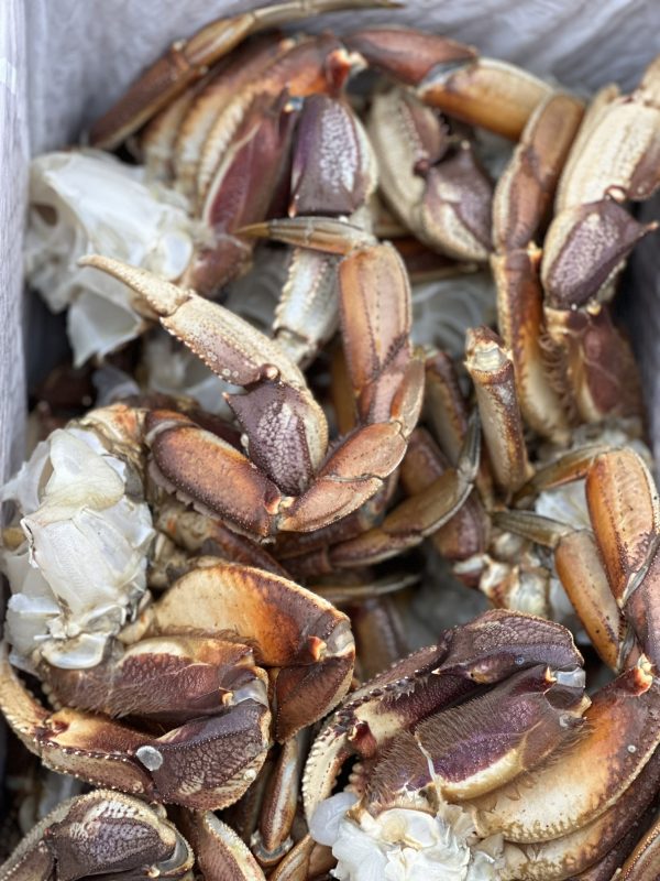 Buy Dungeness crab boxes