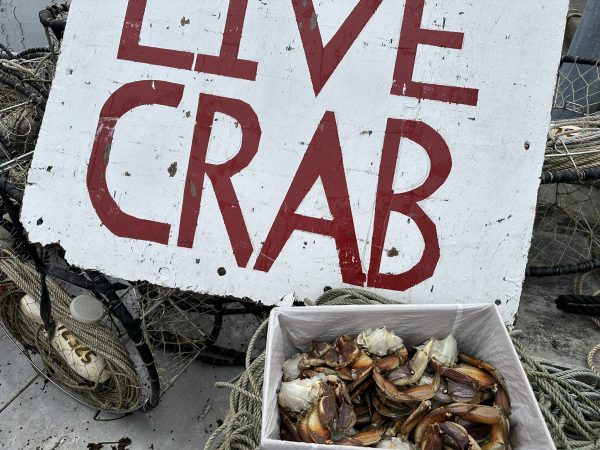 Live crab delivered free in Sitka, Alaska